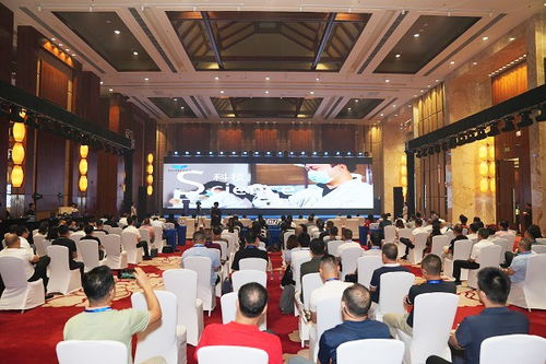 海南數(shù)字文化產(chǎn)業(yè)交流會成功舉辦 以數(shù)字化賦能文化產(chǎn)業(yè)高質(zhì)量發(fā)展