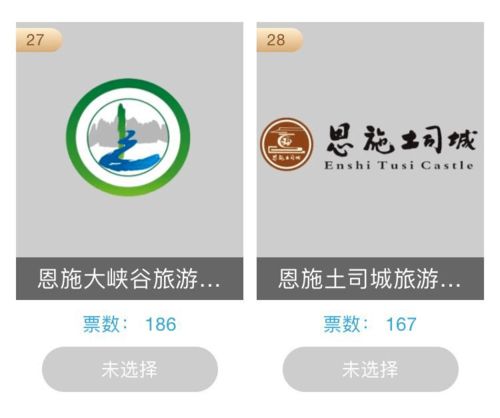 為恩施企業(yè)投票 首屆湖北省文化產(chǎn)業(yè)品牌選樹活動(dòng)開啟