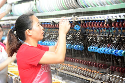 南海西樵本地孩子走進老工廠學習傳統(tǒng)文化產(chǎn)業(yè)歷史,做名繅絲工人