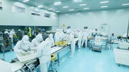 疆果果 深耕新疆堅果，以創(chuàng)新研發(fā)打造品質(zhì)與文化融合的產(chǎn)業(yè)標(biāo)桿