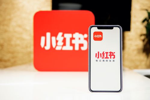 小紅書創作者中心上線，為優質創作者帶來專業成長新機遇
